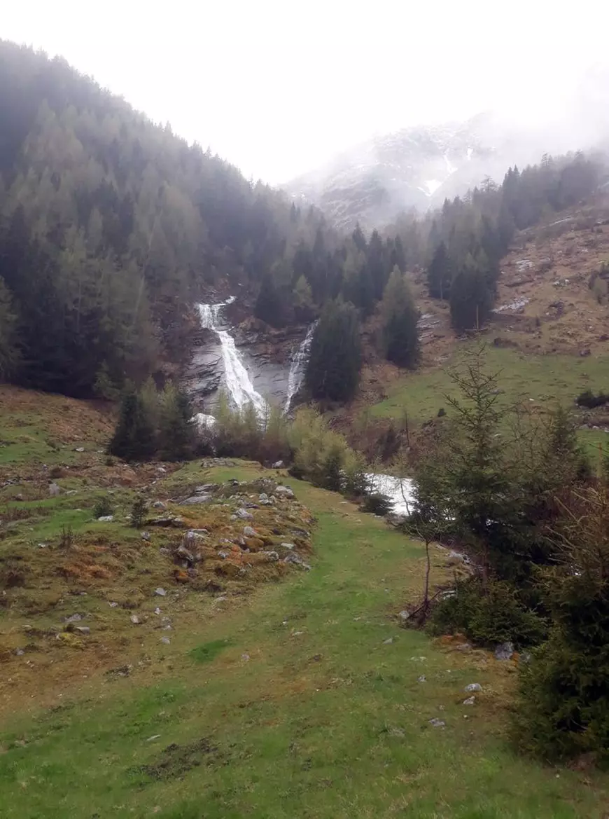 535 de muncitori români accidentați sau morți în pădurile din Austria! “Nu l-am mai putut scoate de sub piatră, 5 minute a durat și a fost mort”