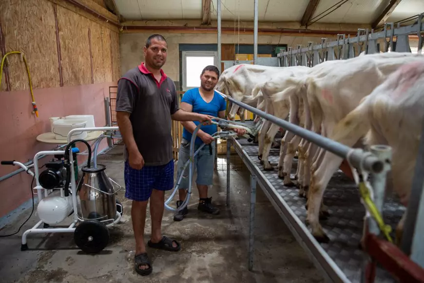Cum a reușit o fundație olandeză să schimbe viețile oamenilor cu dizabilități dintr-un centru vasluian: “Ştiţi ce mult înseamnă pentru ei să simtă că sunt utili?”