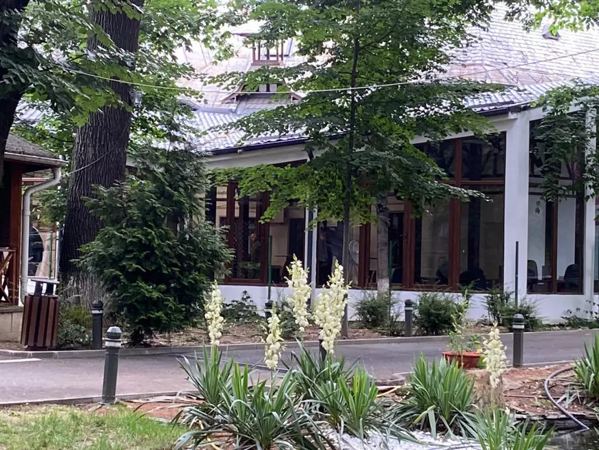 Gabriel Oprea negociază cu PSD, pentru alegerile locale. Primul pas, a desfiinţat gardul dintre sediile celor două partide, în Kiseleff