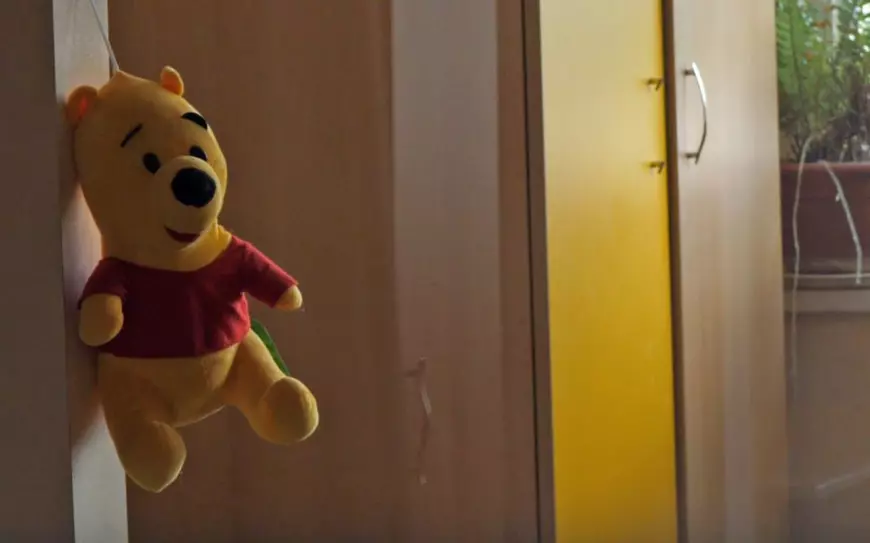 Orfanii albi. O mamă a cerșit patru ani în Germania ca să-și facă o casă și să-și ia copiii de la centrul de plasament