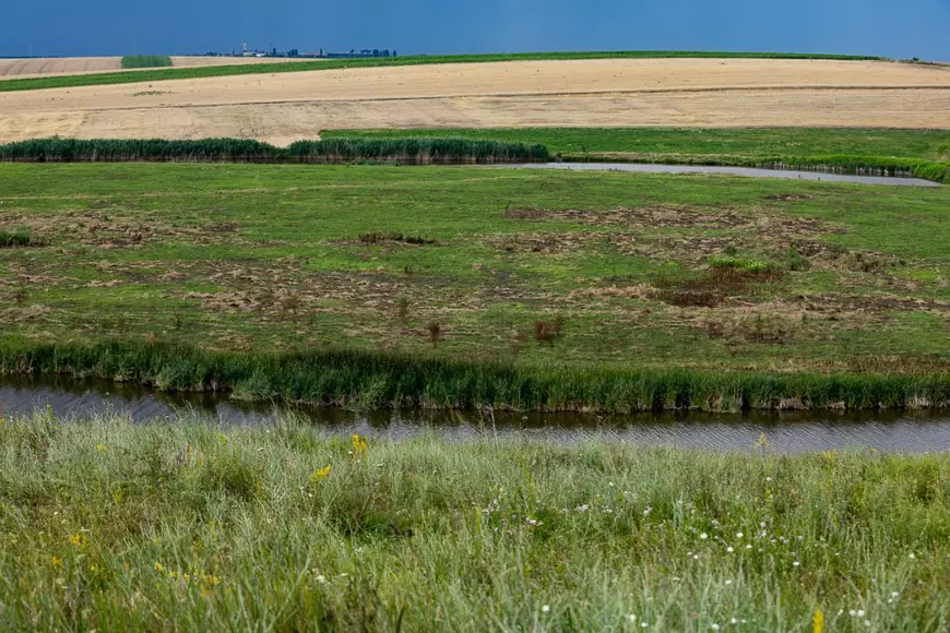 Tânărul agronom în al cărui lan de lavandă din Teleorman își fac poze toți orășenii: „Mă bucur că vine lumea, nu mă supăr dacă oamenii rup flori, să-şi ia cu ei”