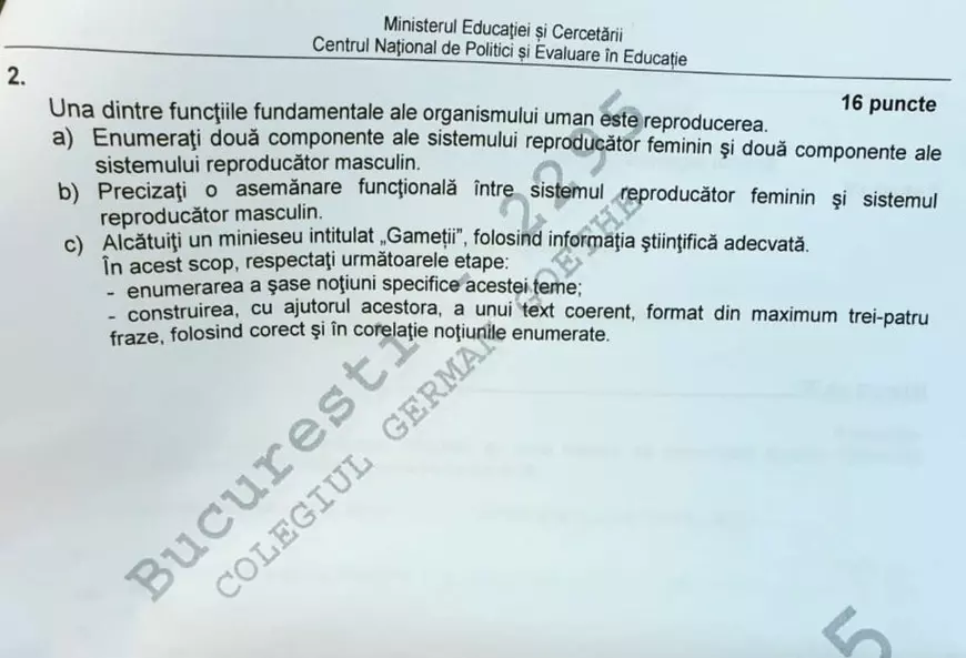 Subiecte BAC 2020. Ce subiecte au avut de rezolvat elevii în 2020