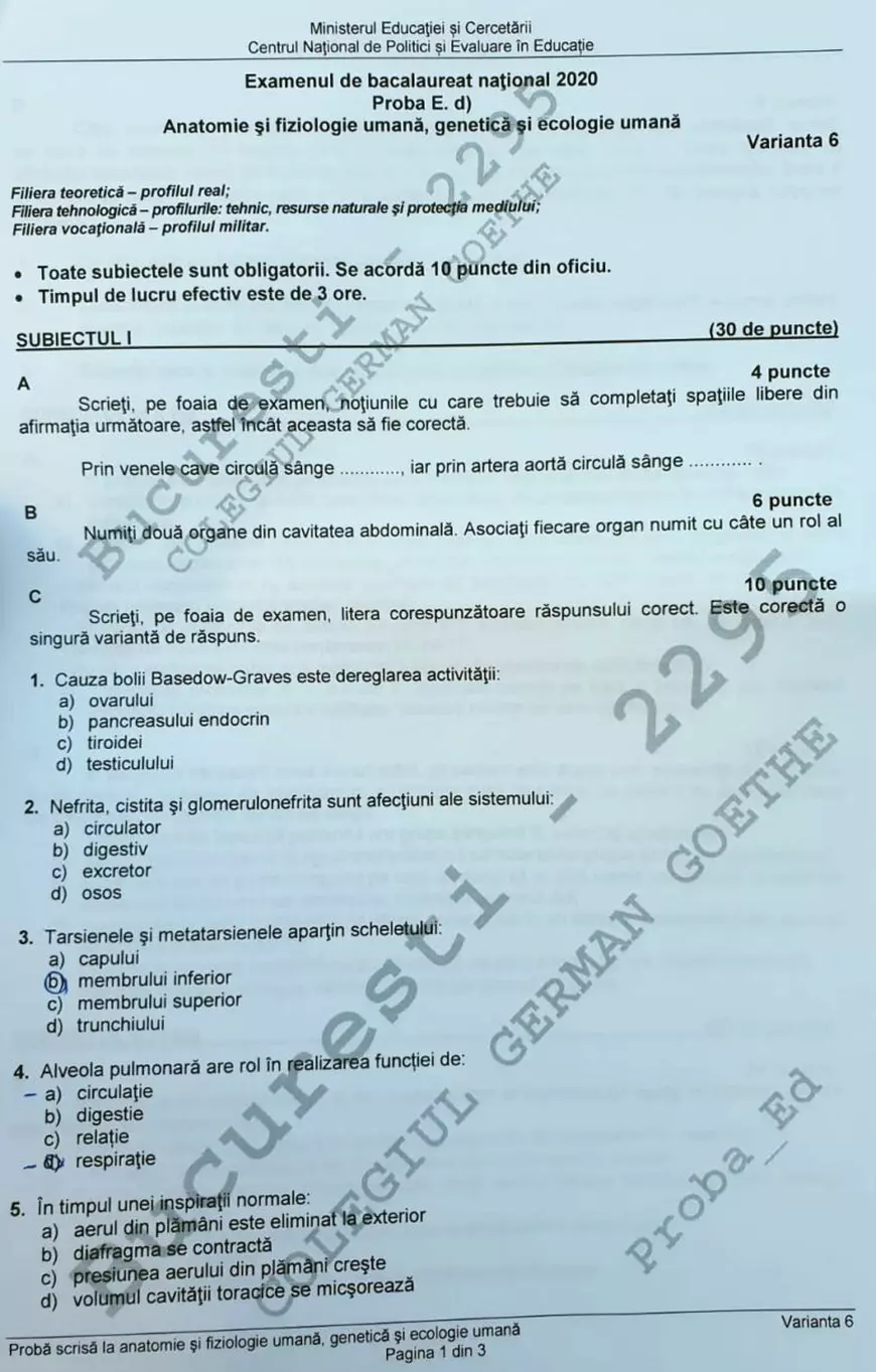 Subiecte BAC 2020. Ce subiecte au avut de rezolvat elevii în 2020