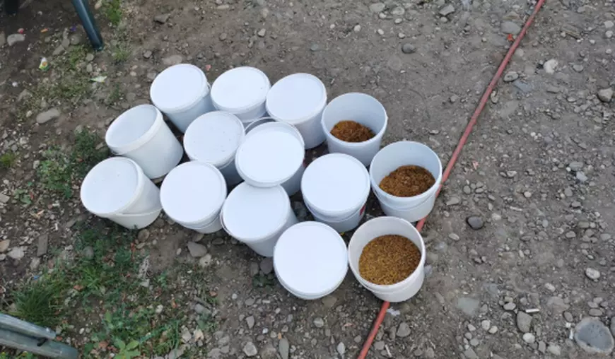 VIDEO | Zeci de percheziții la traficanți de tutun. Printre suspecți se numără și militari