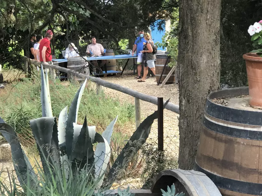 L-am vizitat la podgoria sa. Cum arată și cu ce se ocupă, la 86 de ani, Pierre Richard, cunoscutul actor de comedie francez. “Mulțumesc celor care mă iubesc în România!”