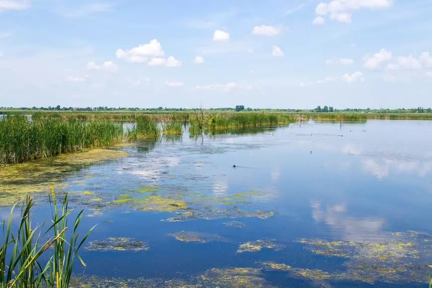 Comana - arie protejată din România