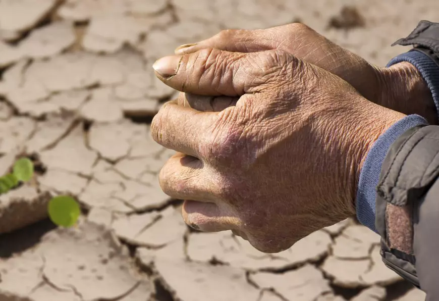 Scenarii despre viitorul foarte apropiat cu trei cavaleri ai apocalipsei. Sau ai speranței post Covid, depinde