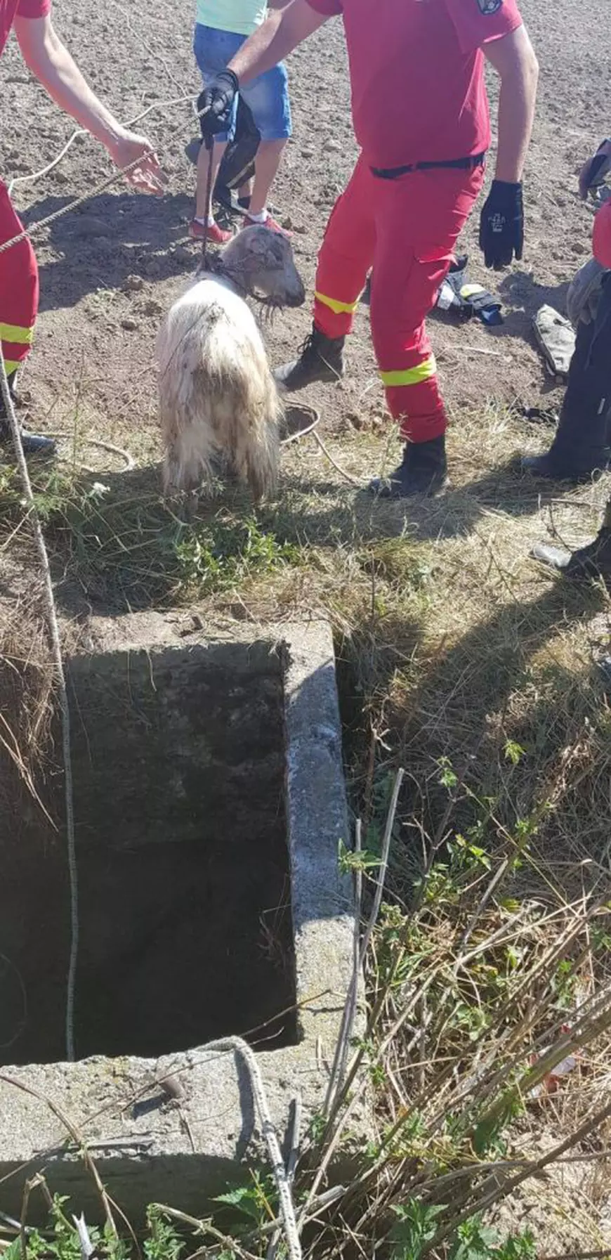 Un bărbat din Suceava a căzut într-o fântână în timp ce încerca să-și salveze capra FOTO: ISU Suceava
