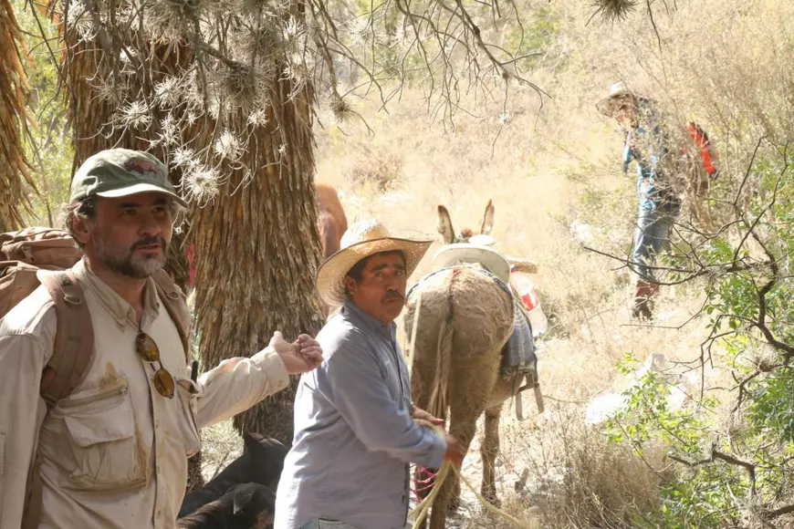 Arheologie mayașă, narcotraficanți și peștera mexicană din Epoca Glaciară. Cum ar putea un român să rescrie istoria Americilor