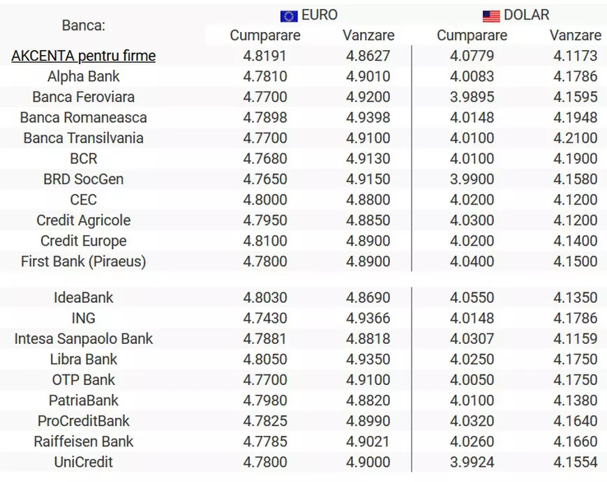 Curs BNR 21 august. Moneda europeană marchează o nouă creştere