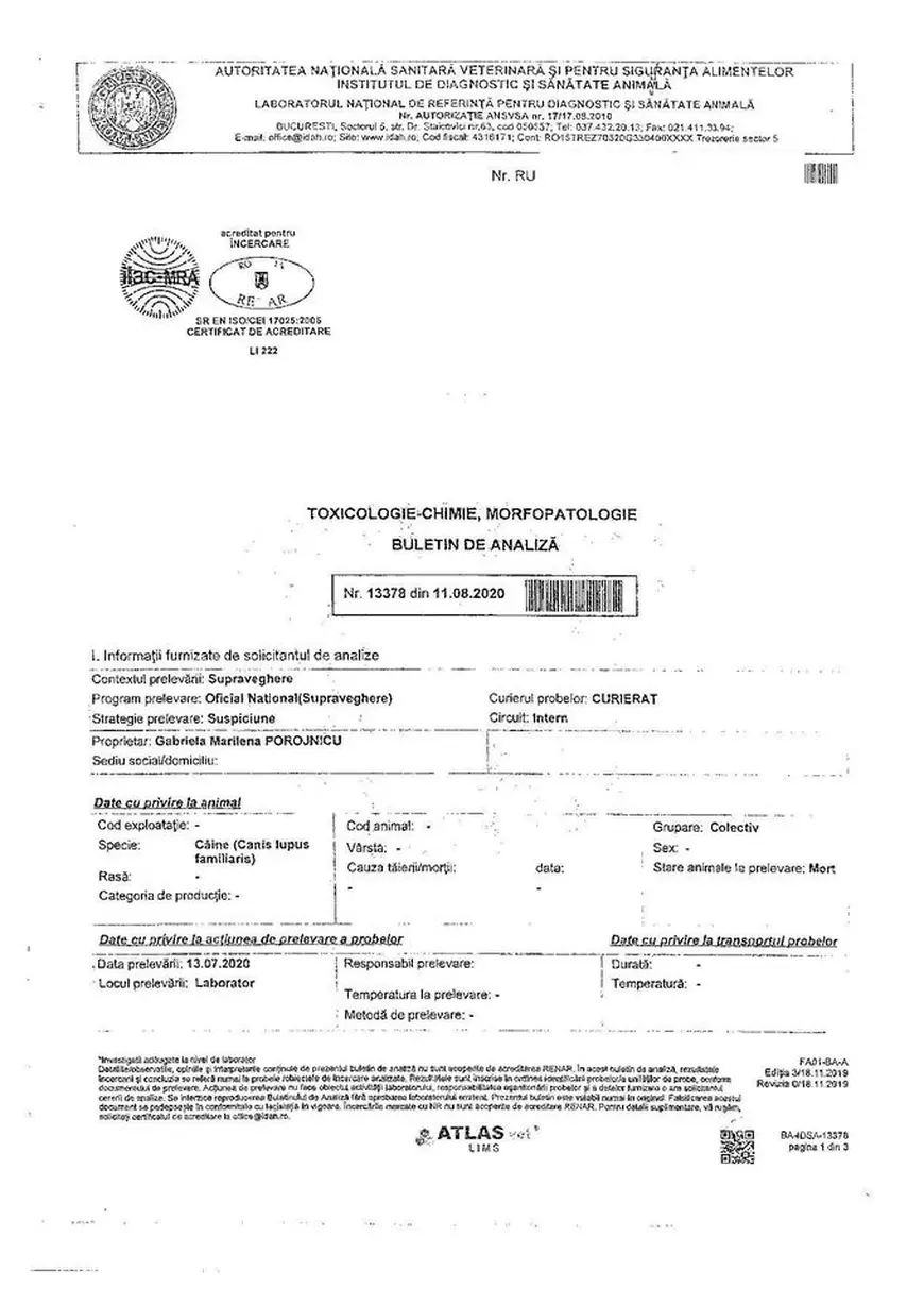 Analizele câinilor otrăviți lângă Brașov demonstrează că au fost uciși cu premeditare: furadan în corp și în momeală. Ce riscă vinovații