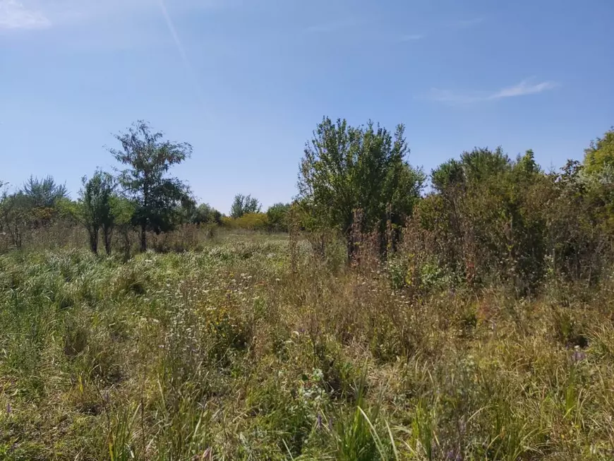 De ce a susținut Poliția, timp de trei ani, că un cadavru de peste 70 de ani, care are datele vestimentare ale unui bătrân dispărut, este al cuiva "de 37 de ani"?!