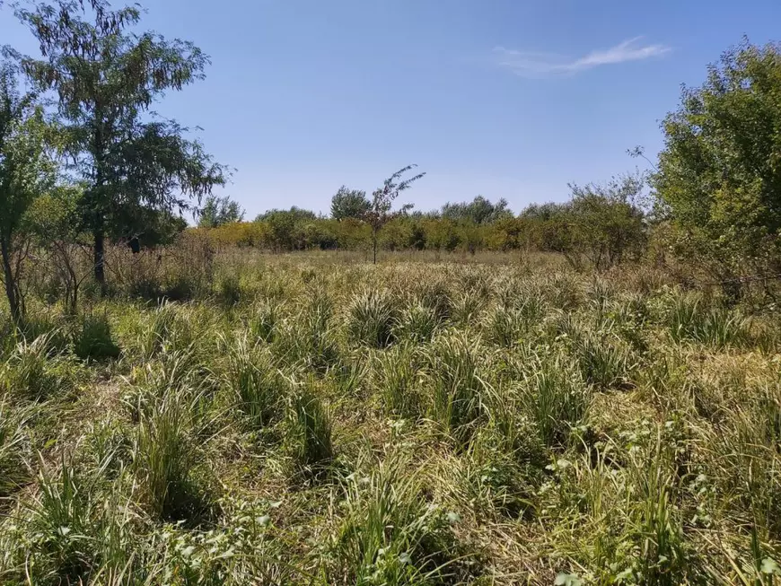 De ce a susținut Poliția, timp de trei ani, că un cadavru de peste 70 de ani, care are datele vestimentare ale unui bătrân dispărut, este al cuiva "de 37 de ani"?!