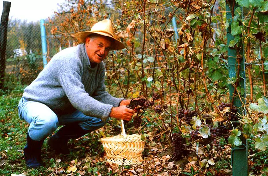 Dorel Vișan, nevoit să se retragă de pe scenă din cauza pandemiei. “Am ajuns la o concluzie foarte tristă. Nu mai am nici cui da un telefon”