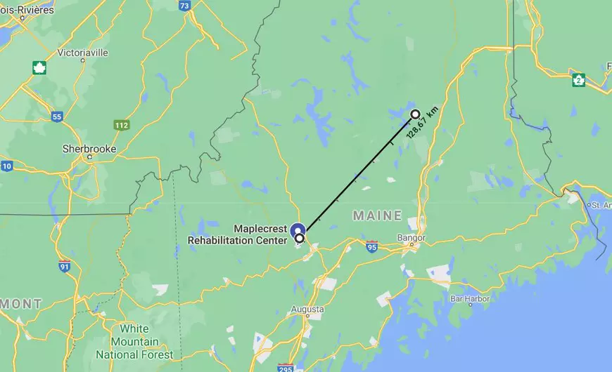 Povestea nunții care a provocat o tragedie: 175 de oameni infectați și șapte morți COVID, care nici nu au participat la eveniment