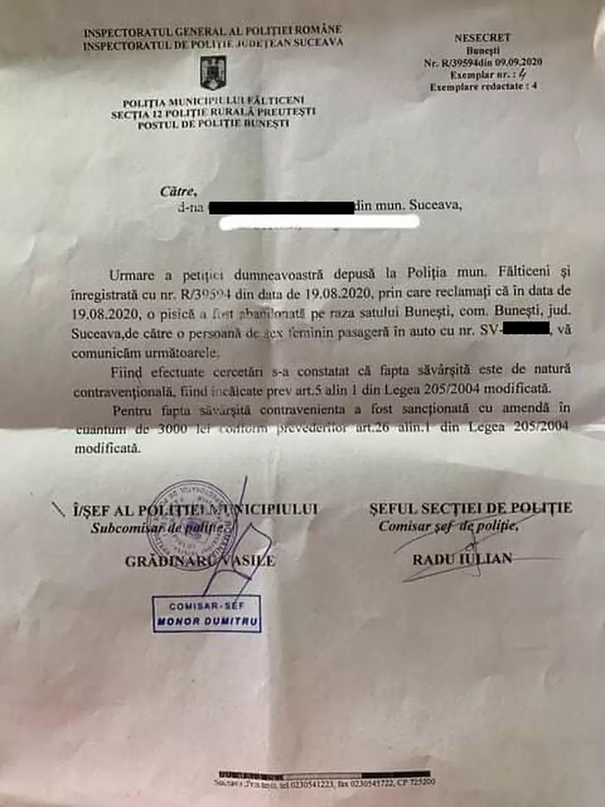 O femeie din Suceava care și-a abandonat pisica a fost amendată cu 3.000 de lei