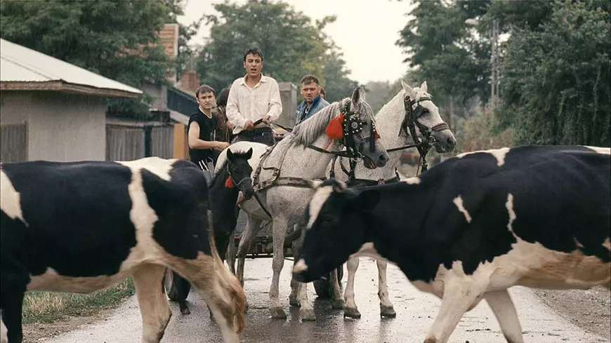 Șase filme memorabile din expoziția “Scurtă istorie a scurtmetrajului românesc (1890-2000)”