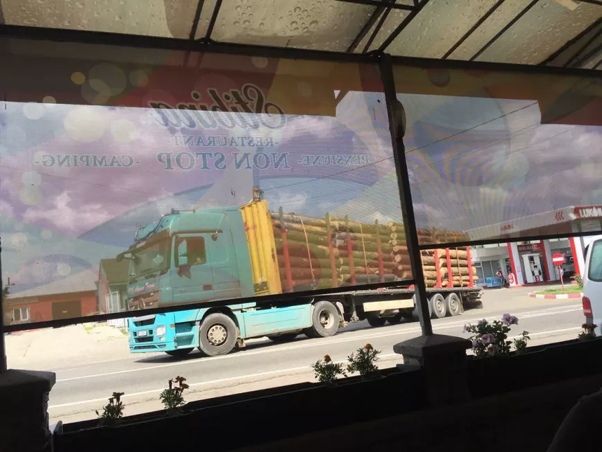 Interviu cu jurnalista care a relatat despre jaful din pădurile României pentru televiziunea ARTE. Răspuns- șoc primit de la ministrul mediului întrebat unde dispare lemnul