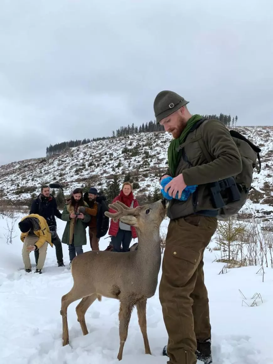 Interviu cu jurnalista care a relatat despre jaful din pădurile României pentru televiziunea ARTE. Răspuns- șoc primit de la ministrul mediului întrebat unde dispare lemnul