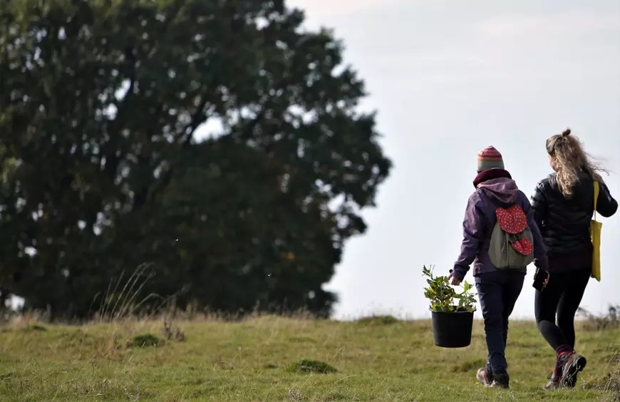 Un antreprenor din Miercurea Ciuc îmbină economia cu ecologia, plantând un pom pentru fiecare client: Exerciţiu pentru pădurea de mâine