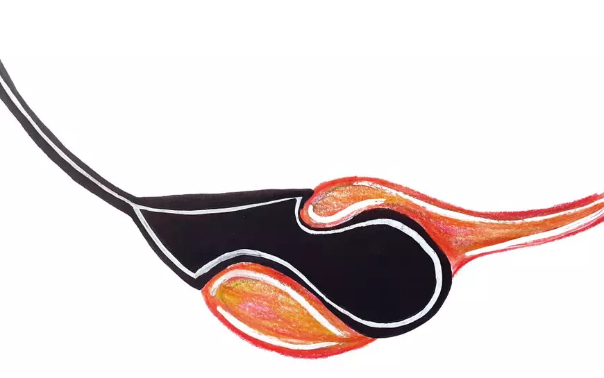 Viața unei adolescente din Piatra Neamț, mutată la Berlin. „Plecarea m-a făcut să mă pierd și-apoi să mă regăsesc, dar mereu în două lumi”