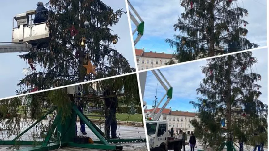 VIDEO | Bradul de Crăciun din Arad, ținta ironiilor: „Restul din brad când îl vor pune?”