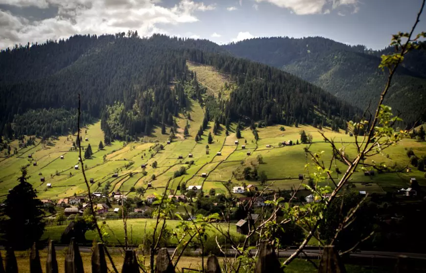 Ce filme au urmărit românii în 2020, pe Netflix. Două producții românești în topuri