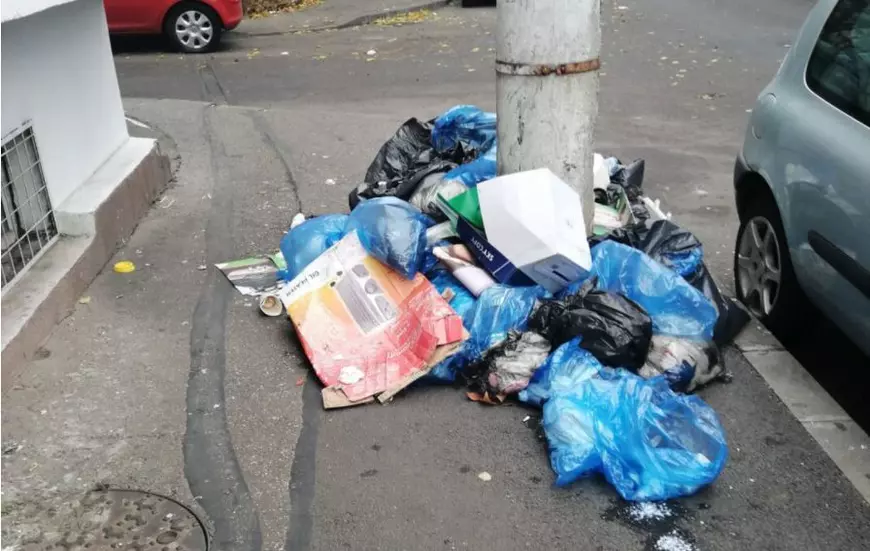 Conflictul dintre Clotilde Armand și Romprest ne pune gunoiul la poartă și oglinda în față