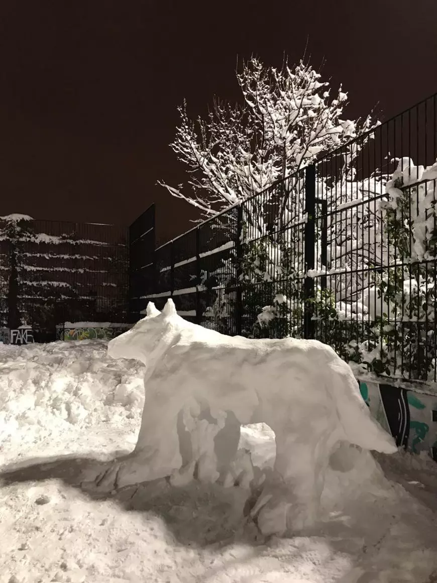 FOTO și VIDEO de la o româncă din Madridul acoperit cu zăpadă. „Mașinile au rămas blocate. Străzile au devenit un imens spațiu de joacă”