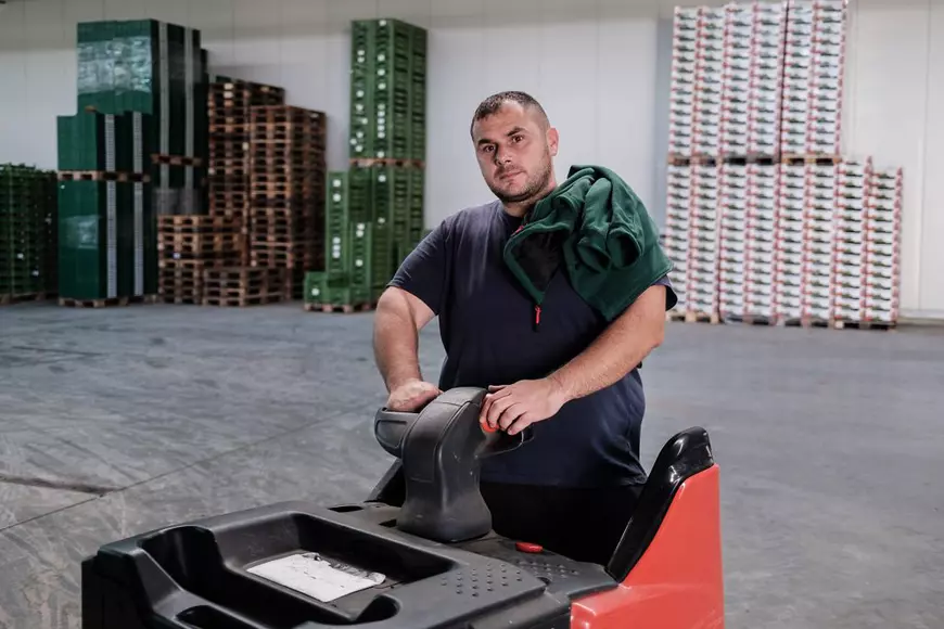 Muncitori sezonieri români pe câmpurile din Germania: „Aici e mai important să vorbești românește decât germana” (II)