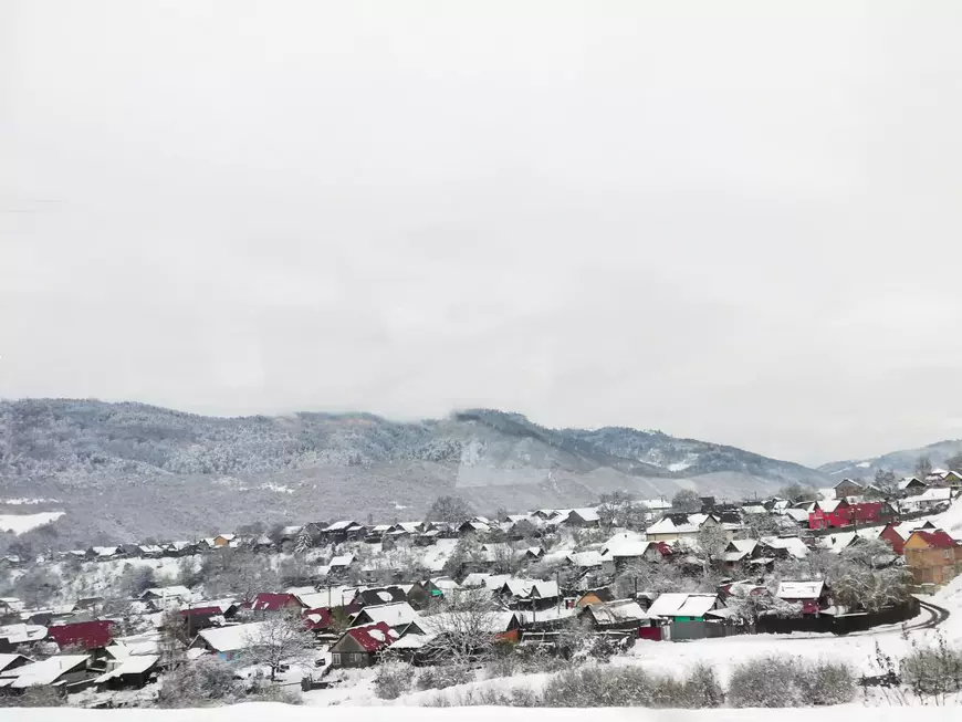 Poveștile a cinci elevi care au abandonat școala, spuse de învățătoarea lor: „Într-o zi, Mario nu a mai venit. A rămas în catalog până la finalul anului”