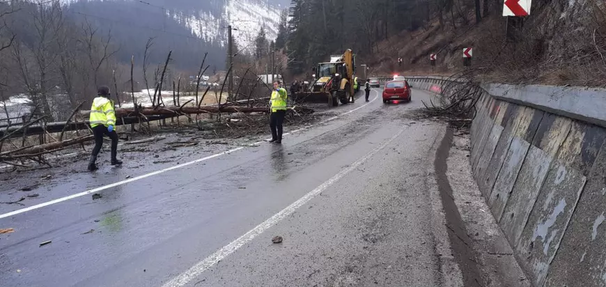 O femeie din București a murit după ce un copac a căzut peste mașina în care circula cu soțul și cei doi copii. Familia era în vacanță