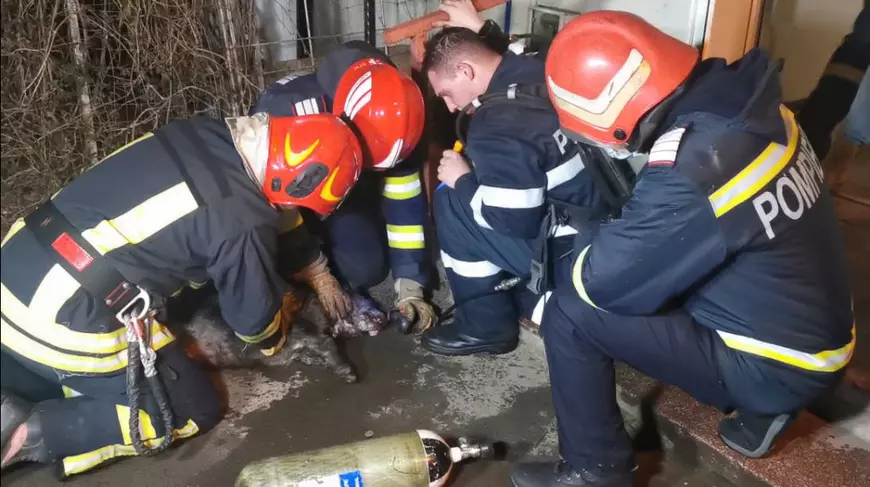 Incendiu puternic într-un bloc din Galați. 20 de persoane, printre care și doi copii, au fost evacuate din imobil