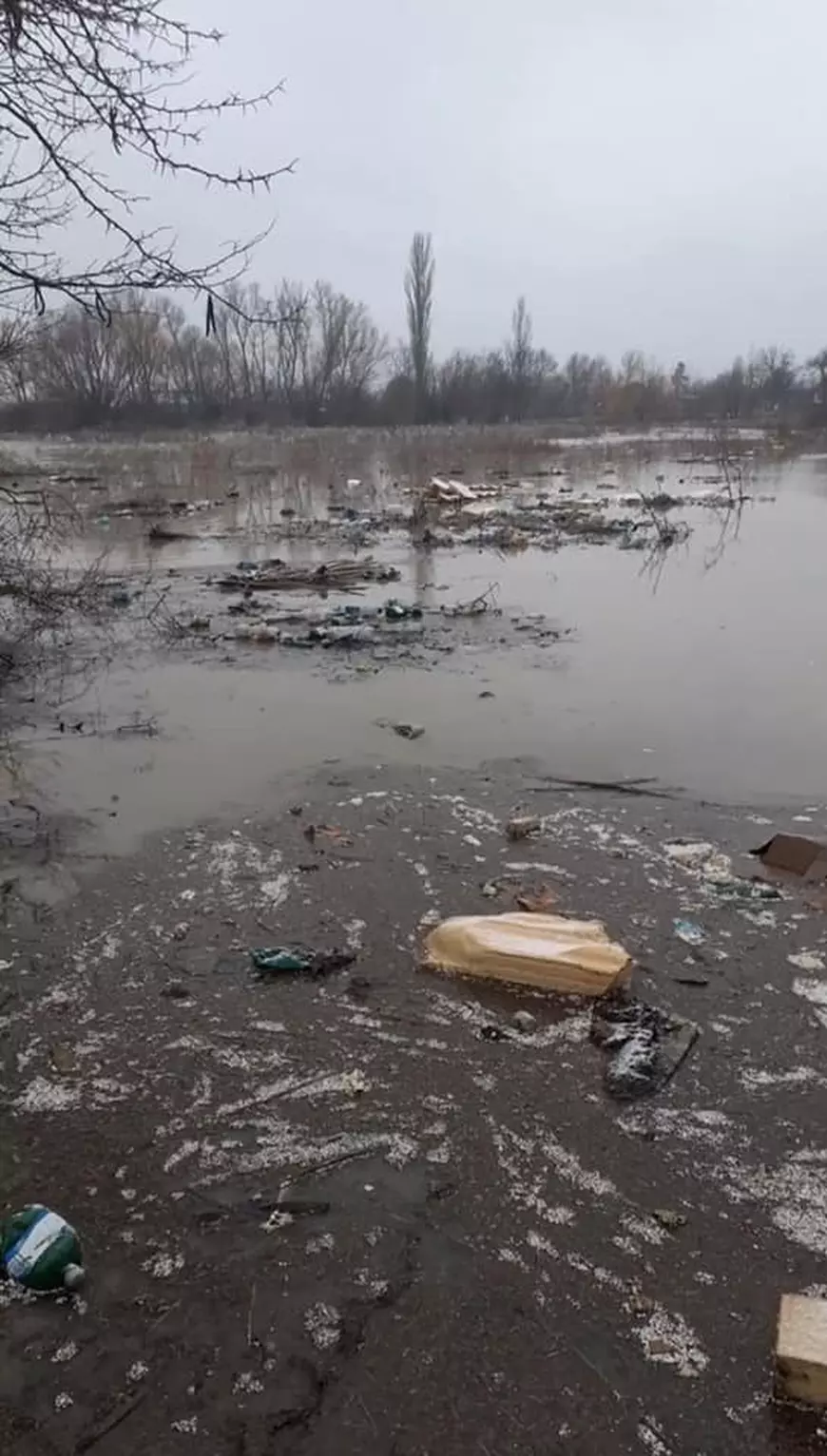 Cum arată drumul spre școală pentru elevii dintr-un cartier al orașului Satu Mare: ”Supereroi e cuvântul cel mai potrivit”