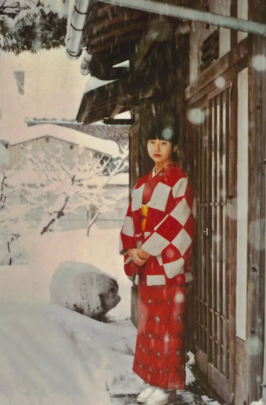 Răpită de pe plajă din Japonia și dusă în Coreea de Nord, unde a fost forțată să instruiască spioni. Soarta fetiței pe care mama încă o așteaptă acasă, chiar și după 44 de ani