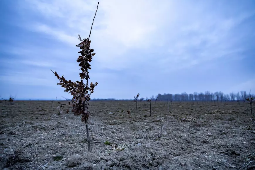 REPORTAJ | Parcul Memoriei Naţionale arată ca un tăpşan împrejmuit cu sârmă ghimpată. Ei au murit pentru ţară, noi zicem că pomii o să crească mai încolo