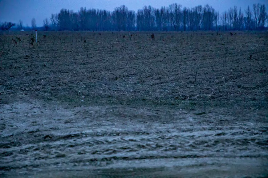 REPORTAJ | Parcul Memoriei Naţionale arată ca un tăpşan împrejmuit cu sârmă ghimpată. Ei au murit pentru ţară, noi zicem că pomii o să crească mai încolo
