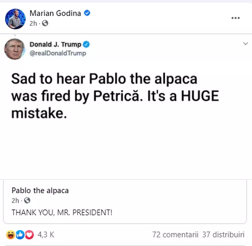 Cum a reacționat Marian Godină după ce Diana Șoșoacă a postat un mesaj fals de susținere de la Donald Trump