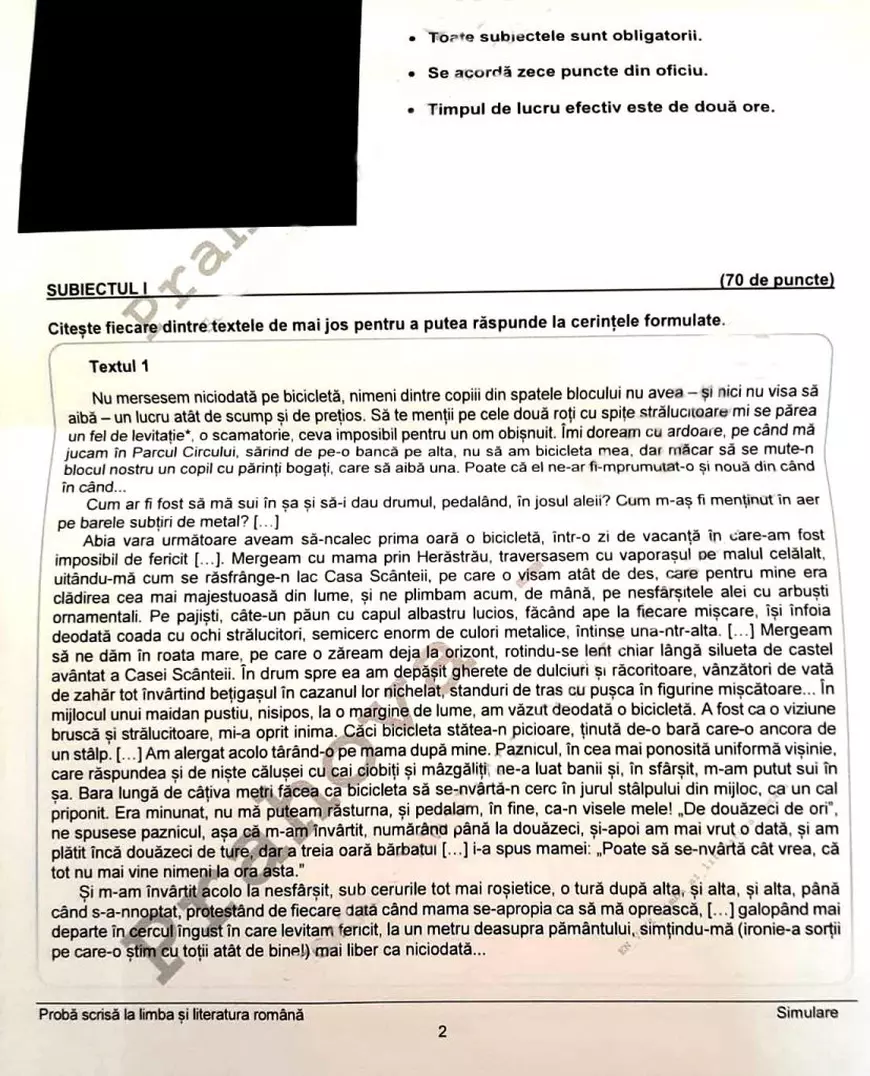 Subiecte Simulare Evaluare Națională Română 2021. Ce a picat la simulare Evaluare Națională 2021