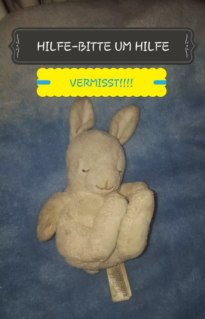 Anunțul unui băiețel de 6 ani care a înduioșat un oraș întreg. Ce oferă copilul la schimbul iepurașului de pluș pe care l-a pierdut