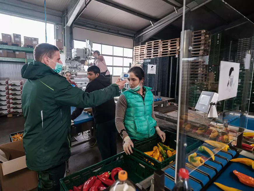 Fermier german, despre muncitorii din România: „Prima oară au venit bărbații, dar de vreo opt-nouă ani vin mai mult cupluri”