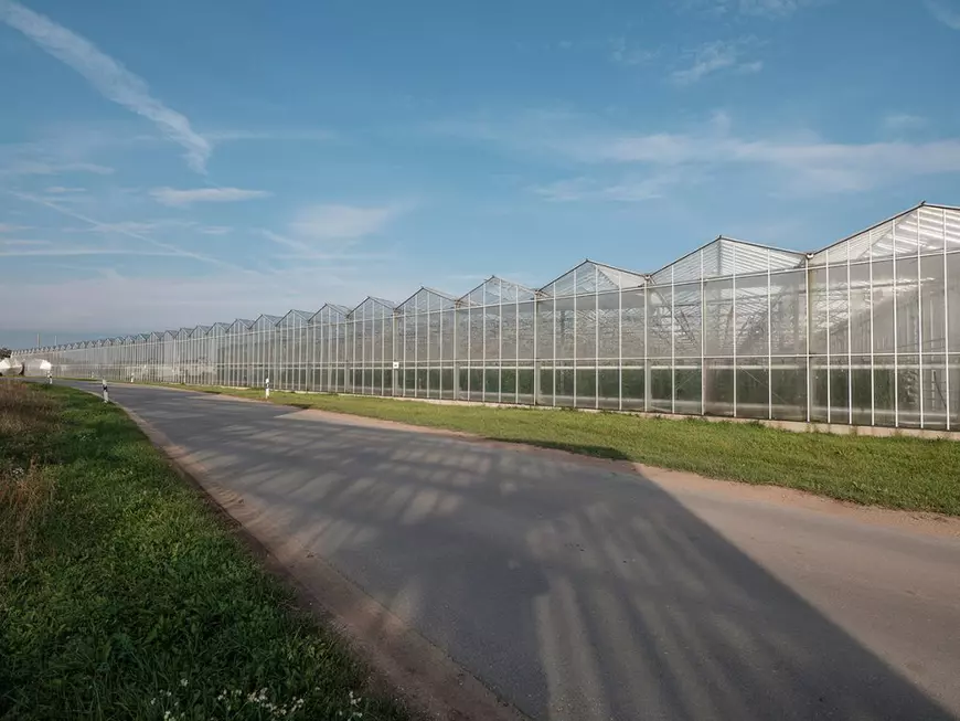 Fermier german, despre muncitorii din România: „Prima oară au venit bărbații, dar de vreo opt-nouă ani vin mai mult cupluri”