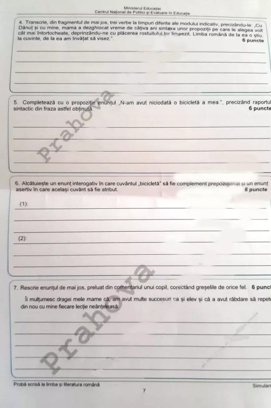 Subiecte Simulare Evaluare Națională Română 2021. Ce a picat la simulare Evaluare Națională 2021