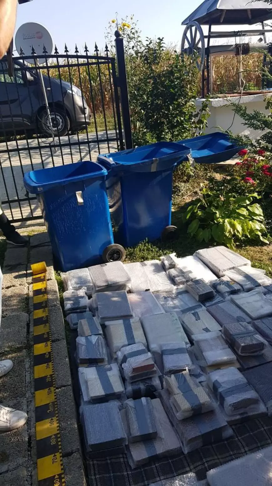 Povestea capturării românilor care au furat cărți rare de 2,4 mil. €. Anchetatorii au dat petrecere