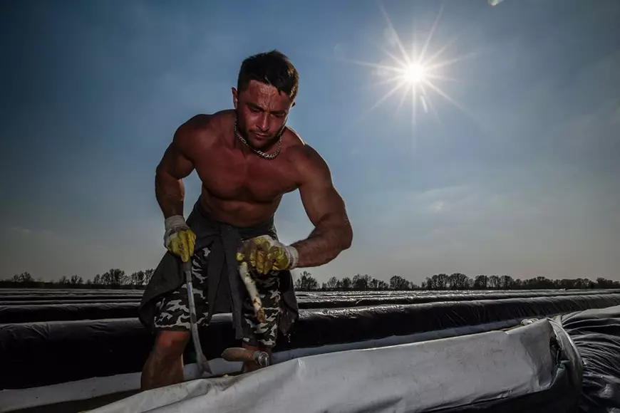 Cum îi așteaptă fermierii germani pe muncitorii români: „Avem nevoie de lucrători cu experiență și îi tratăm corespunzător, pentru că vrem să îi păstrăm”