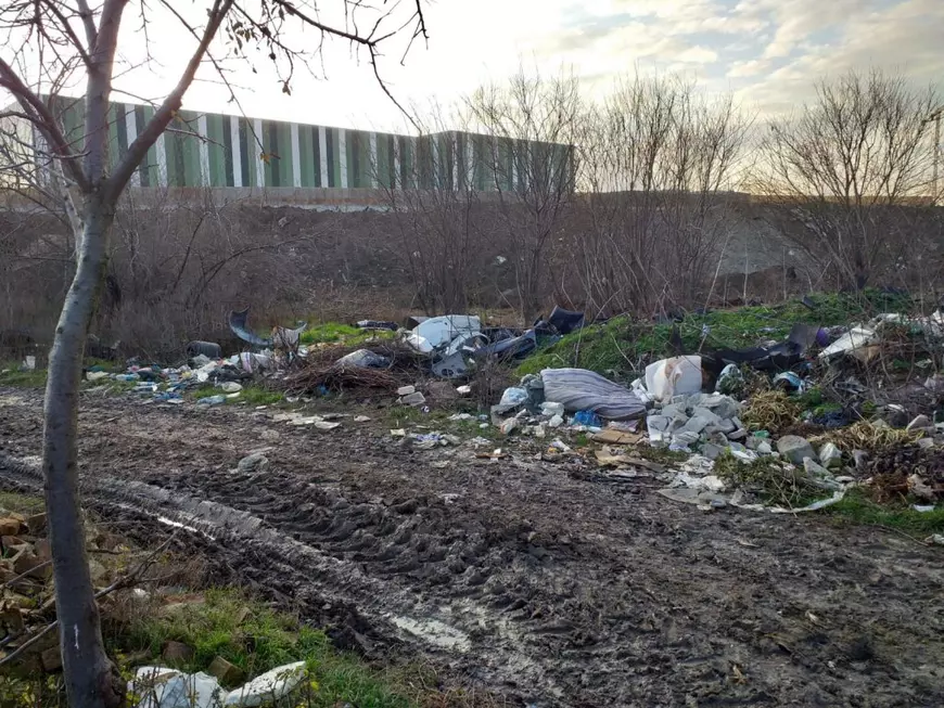 INVESTIGAȚIE. Afaceri cu bani publici în familia Negoiță: primăria plătește 250.000 de euro părinților primarului!