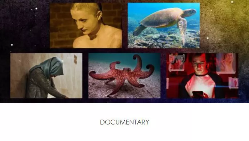 Câștigătorii premiilor BAFTA. Nomadland, patru trofee la „Oscarurile britanice”