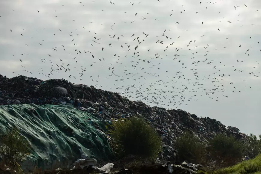 Cine sunt o parte din firmele percheziționate recent în dosarul reciclărilor fictive. Șicane cu jurnaliștii pe un câmp
