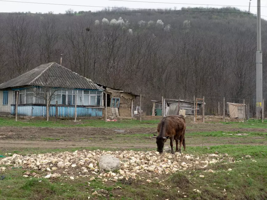 REPORTAJ. Adevărul despre călărețul din Iași de la începutul pandemiei. De ce a vândut casa