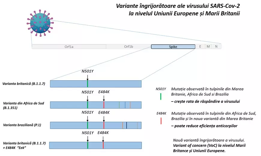 Mesajul lui Valeriu Gheorghiță după confirmarea unui caz COVID cu mutație care reduce eficiența vaccinurilor